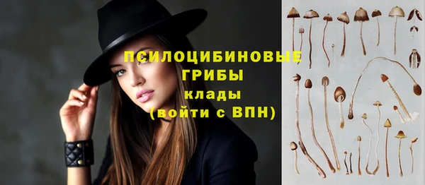 индика Новокубанск