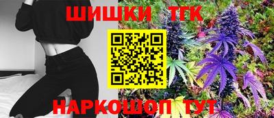 хмурый Кингисепп