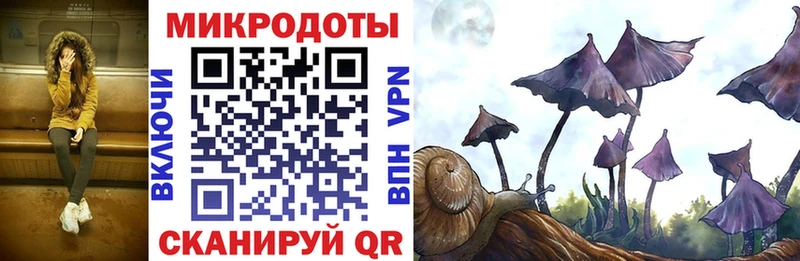 kraken как войти  Кувандык  Галлюциногенные грибы мухоморы 